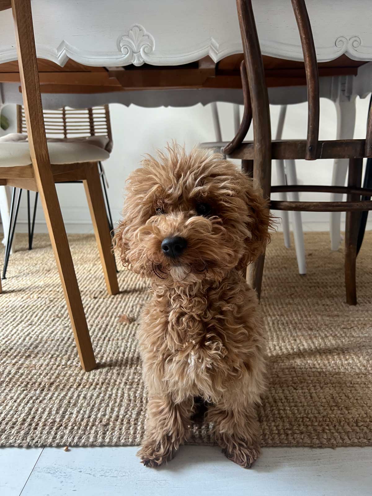 monthly memories 008