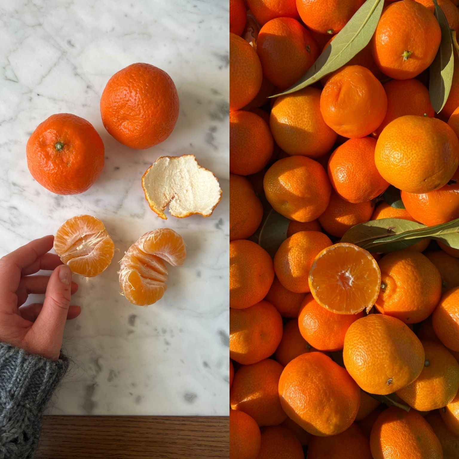 monthly memories 008