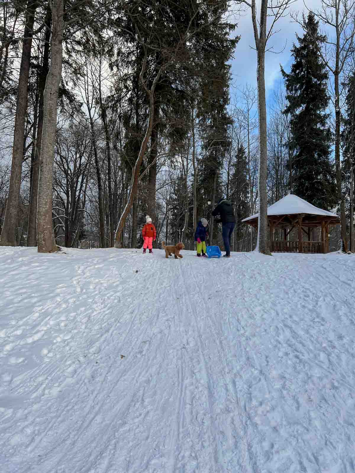 noworoczne postanowienia