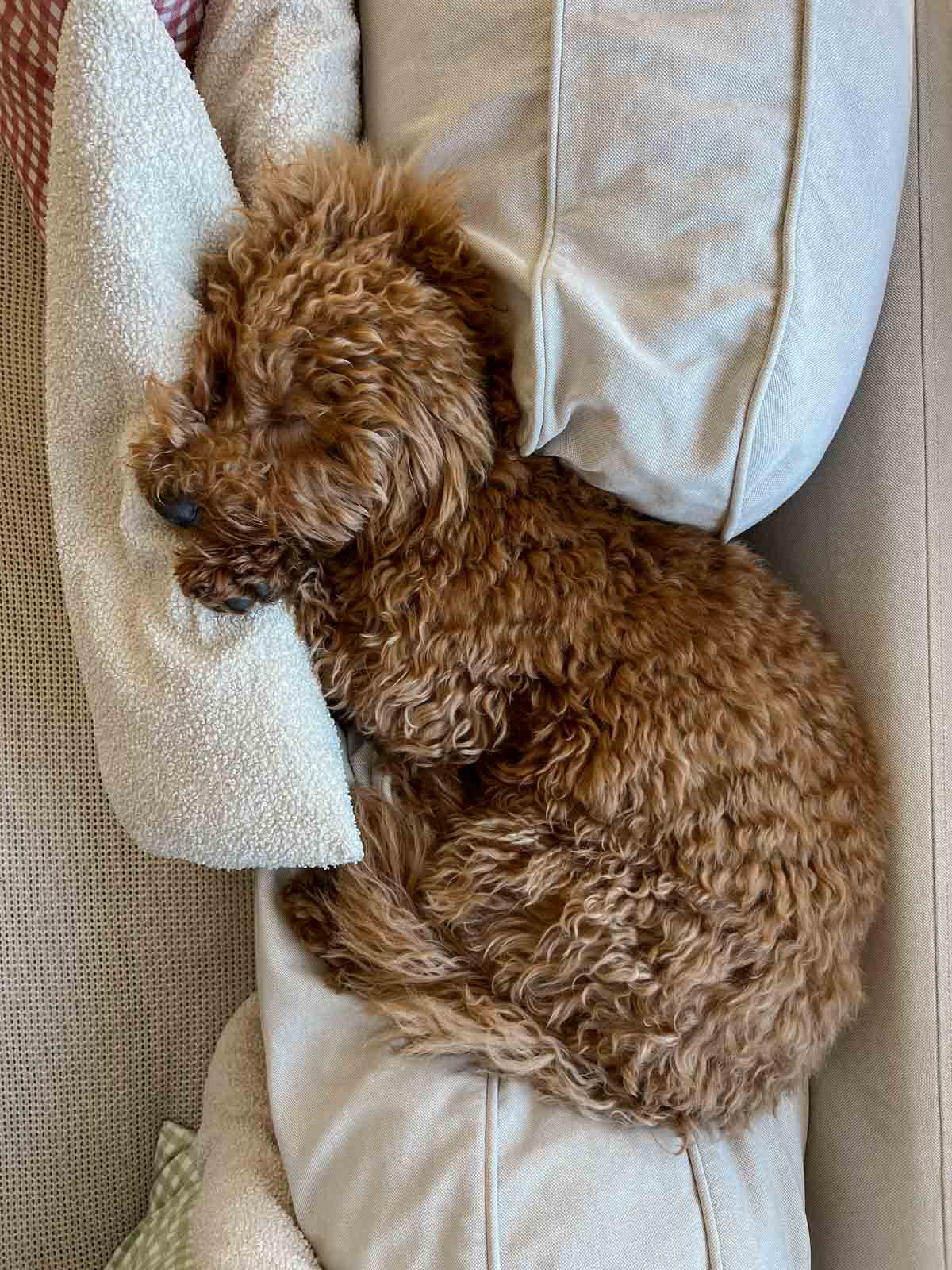 monthly memories 009