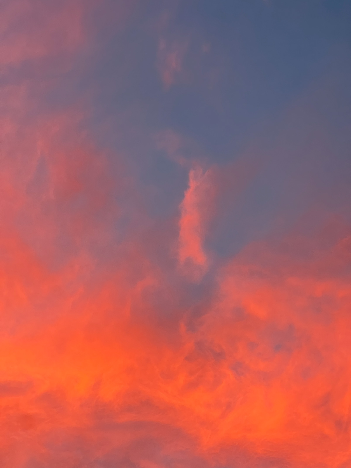 monthly memories 009